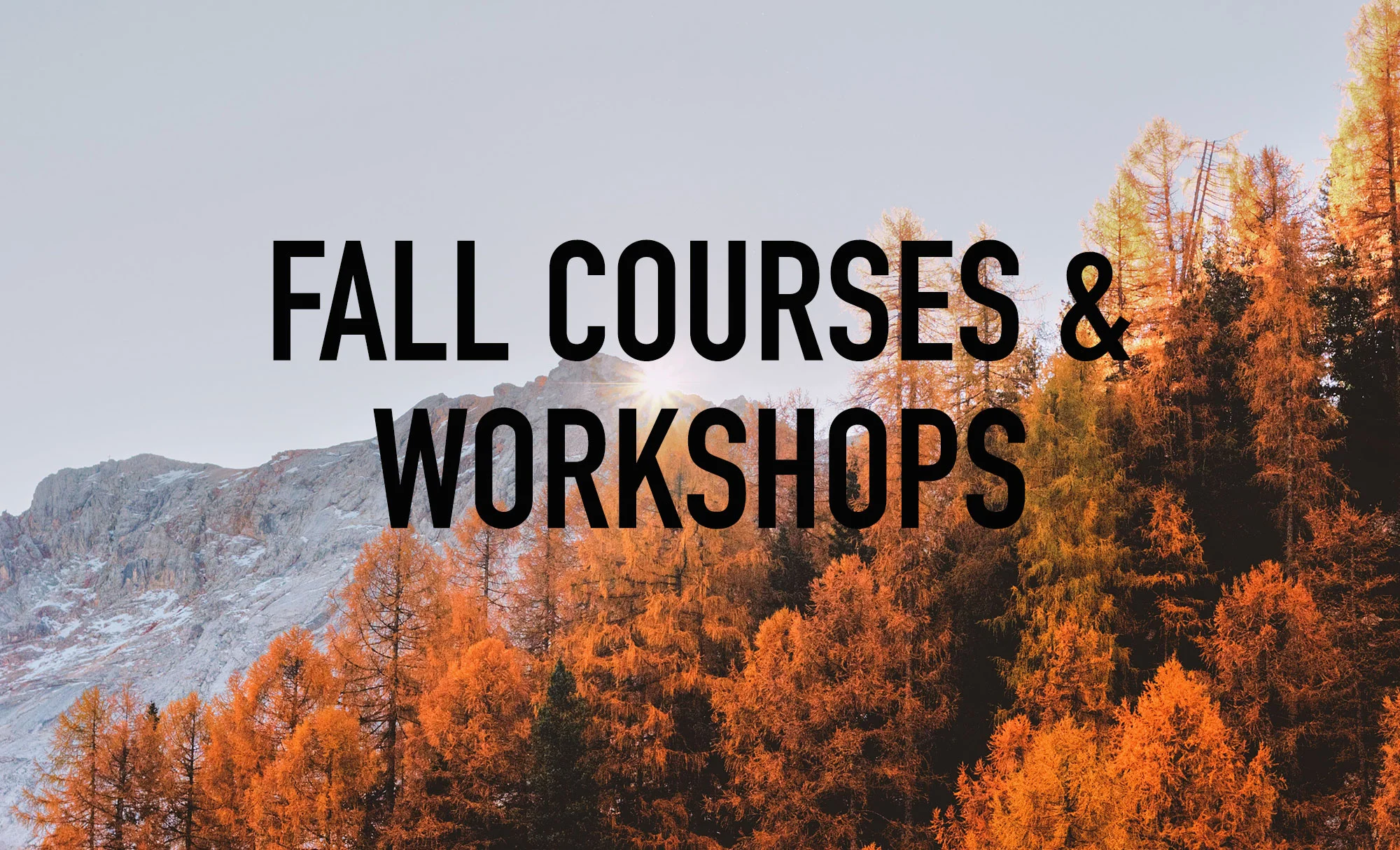 FallCourses_LandingPage.jpg