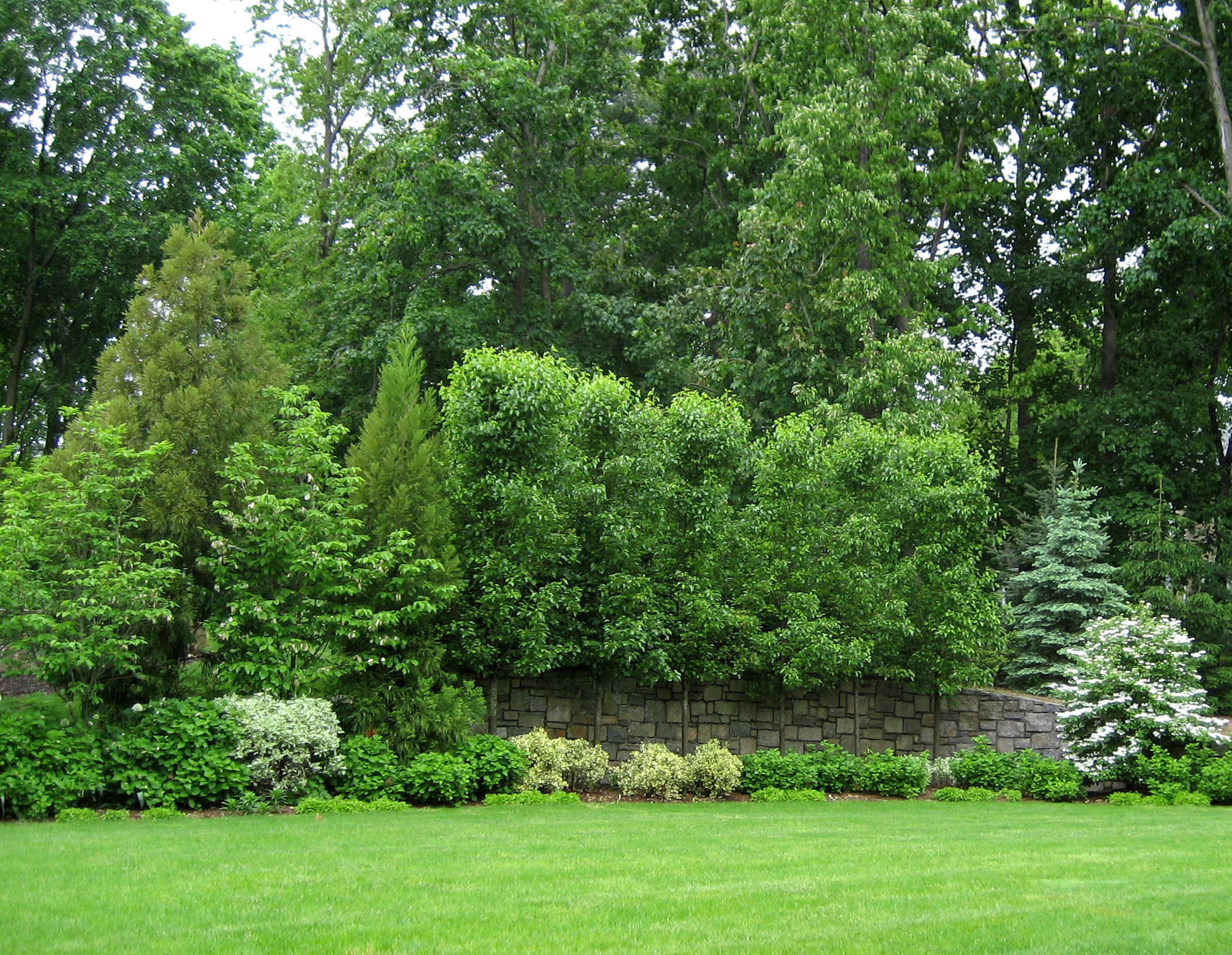 mixed 012.jpg