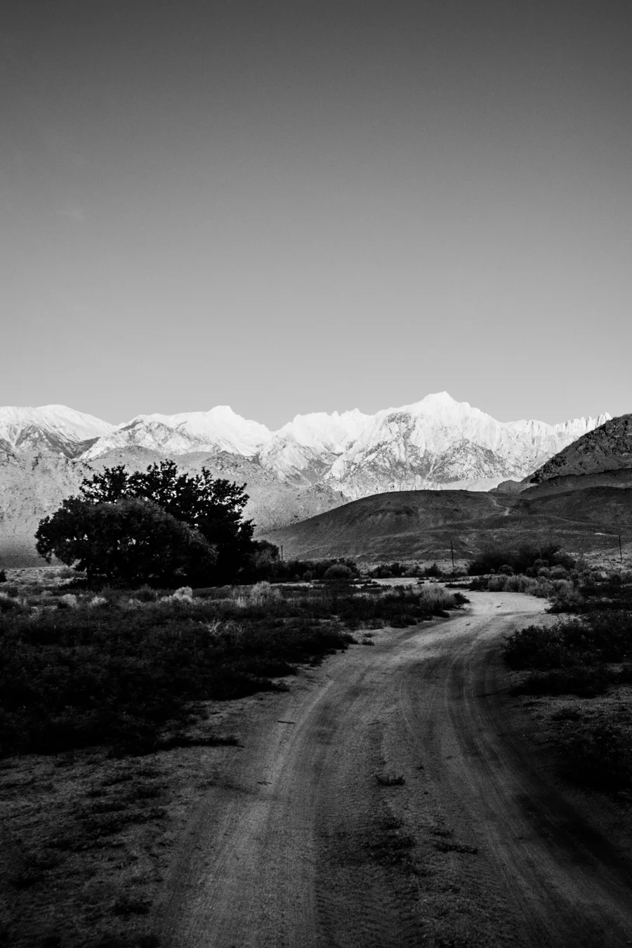 DSC_2437.jpg