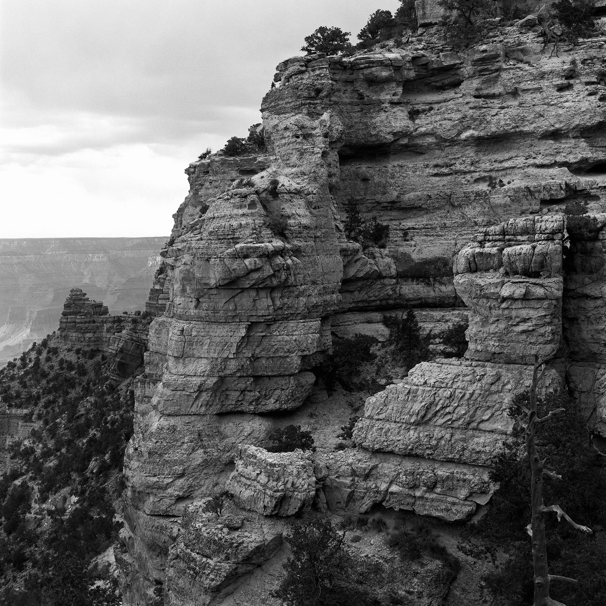 Topography-1.jpg