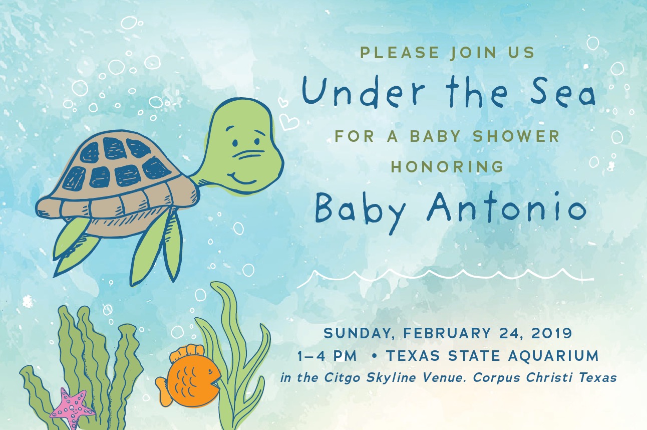 Baby Shower Invitation Design & Illustration