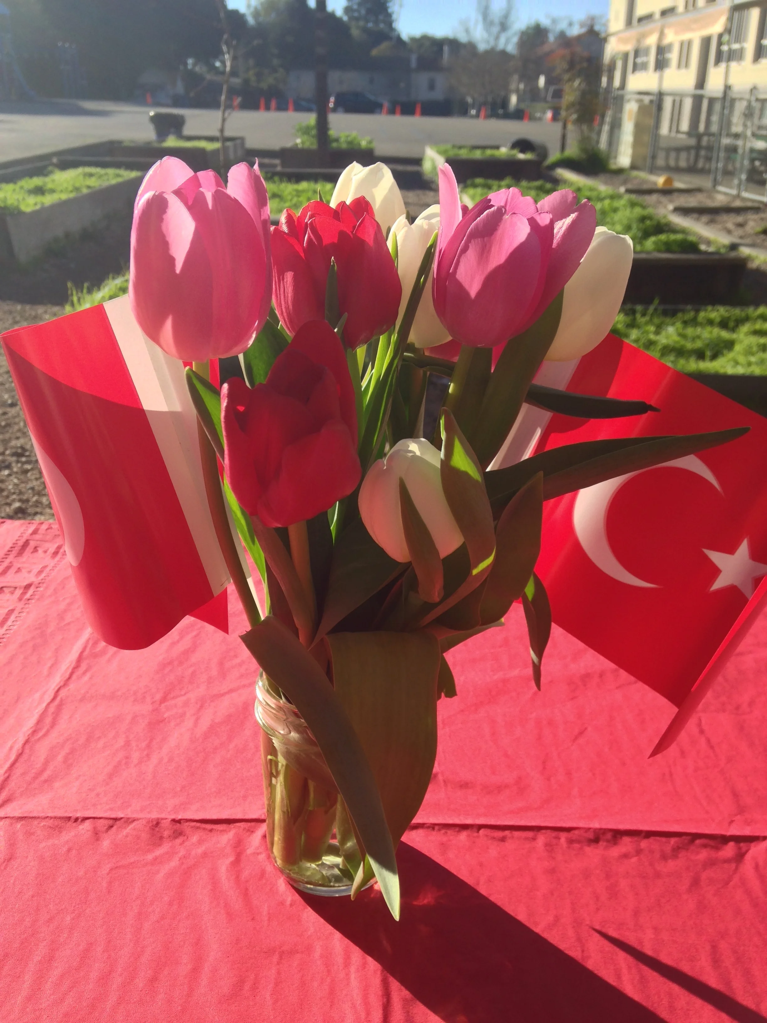 Spring Semester 2016 Begins with blooms