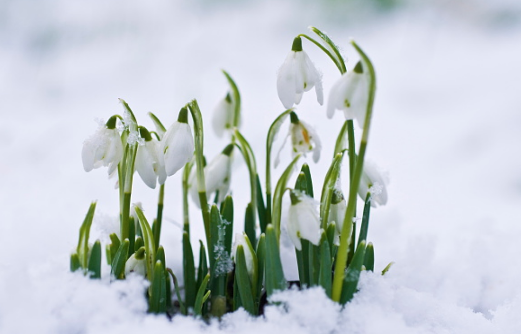 REGISTRATION & PARENT/TEACHER MEETING