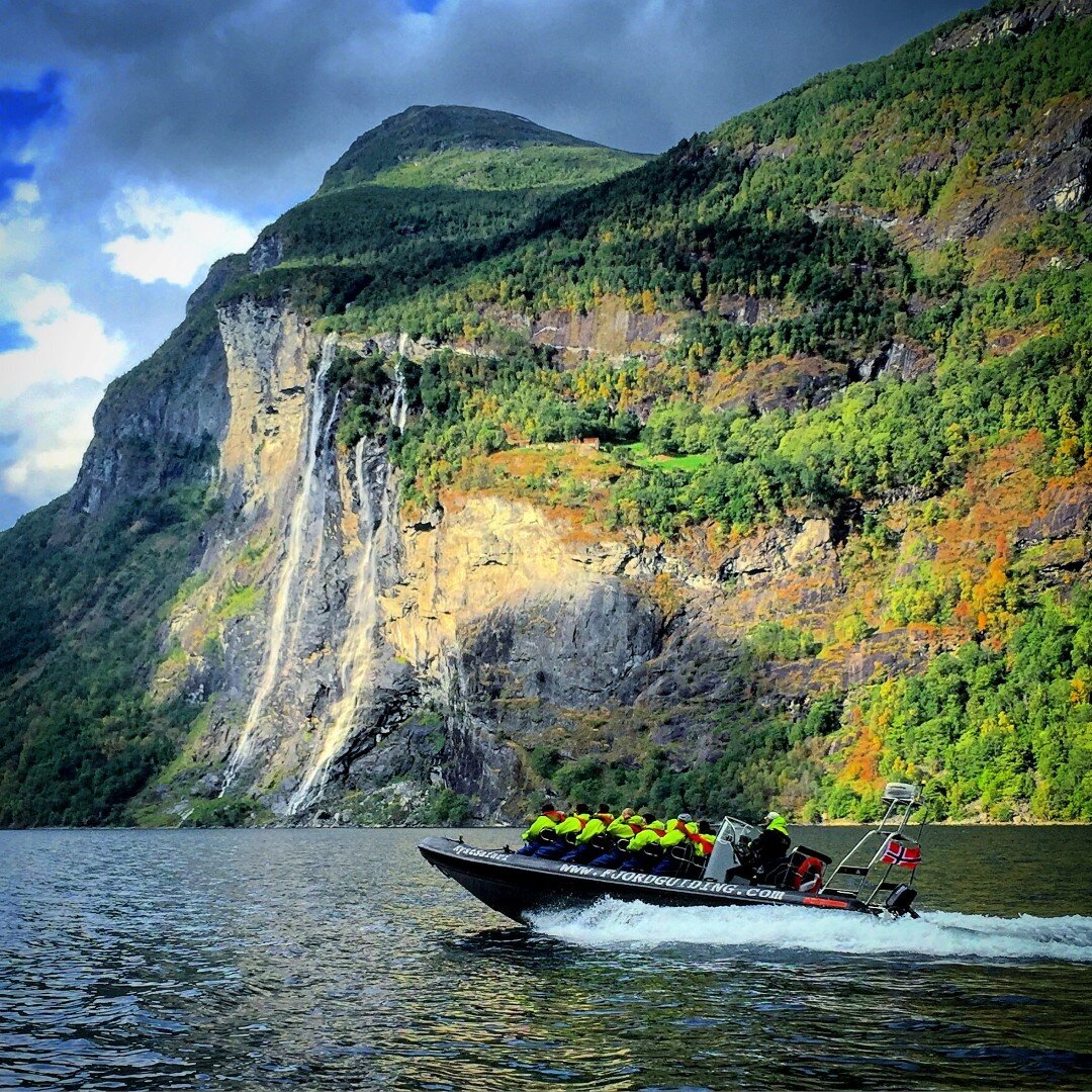 IMG_2984 (Large).JPG