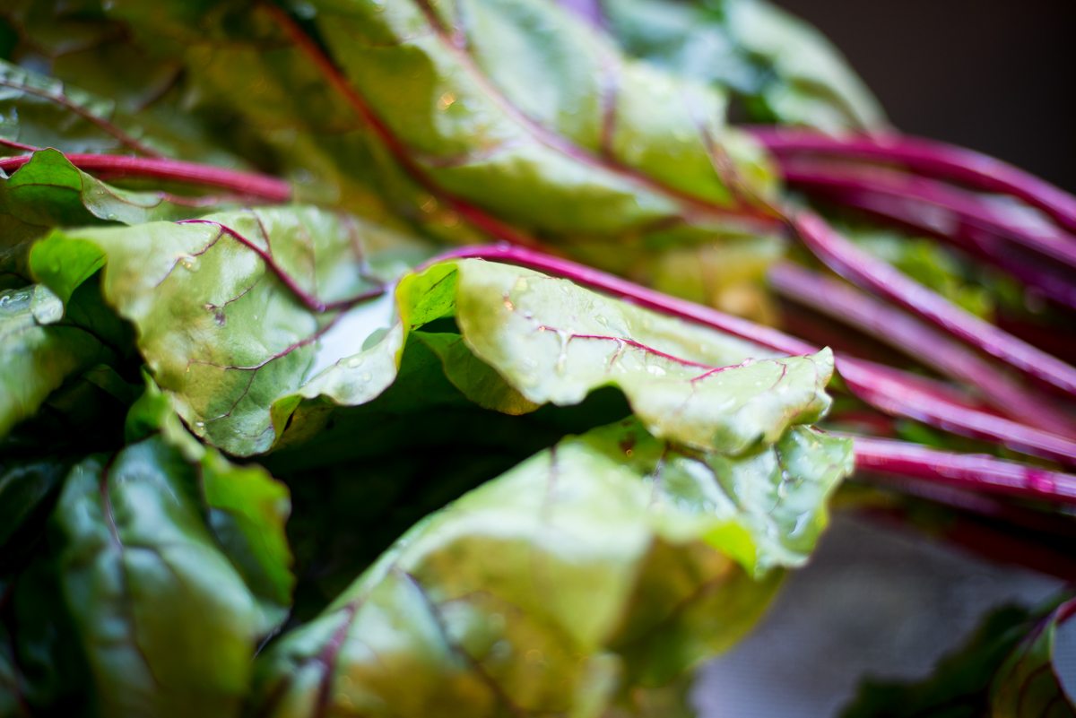 The magenta veins are rich in vitamins. The greens are a great source of vitamin C, potassium and manganese. Beets also contain the B vitamin folate.