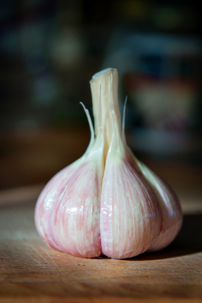 Meadowlark garlic peeled of it's outer papery skin.