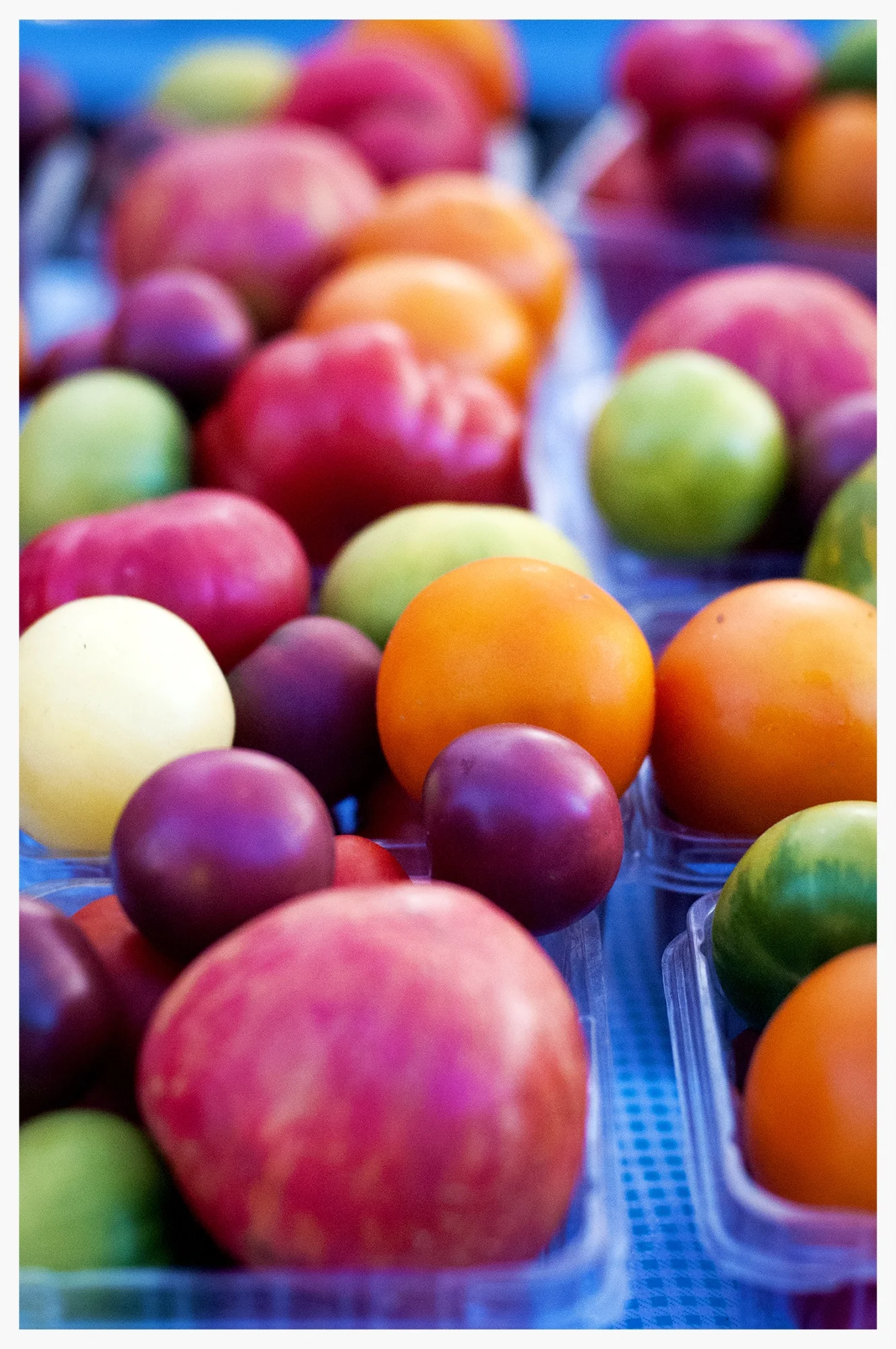 Striewski__tomatos-2.jpg