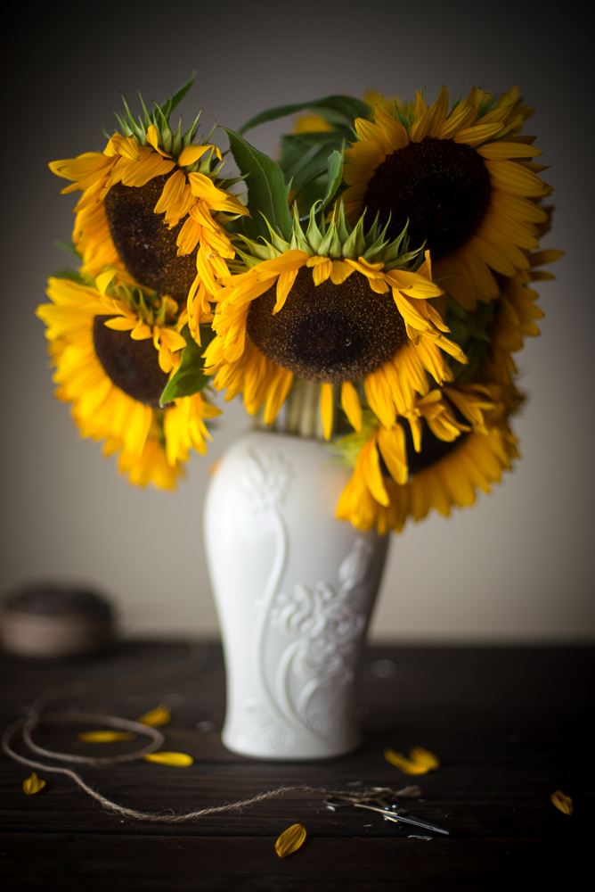 Sunflowers and Squash Blossoms — Beryl Striewski Photography