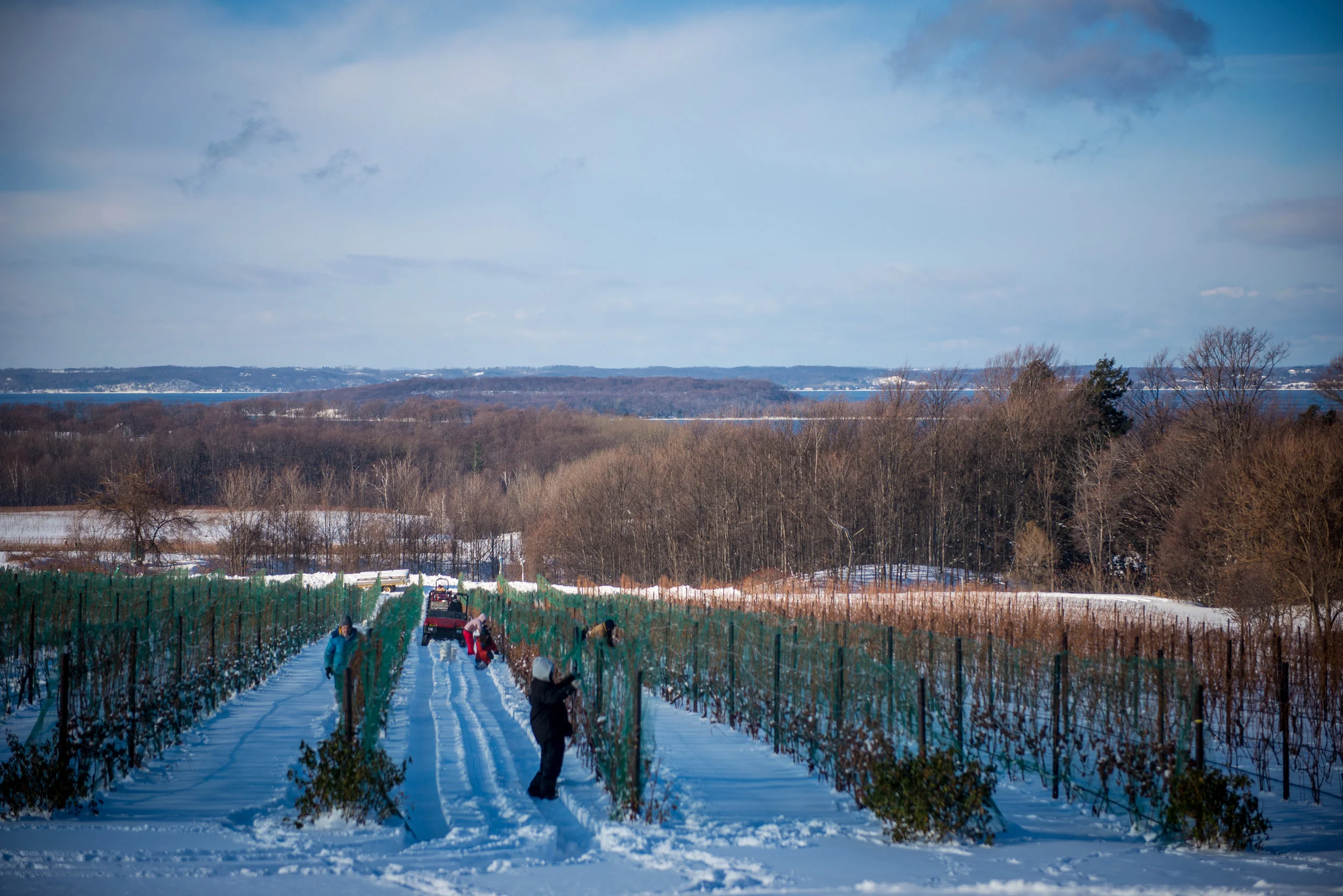 Striewski_161219_6808.jpg