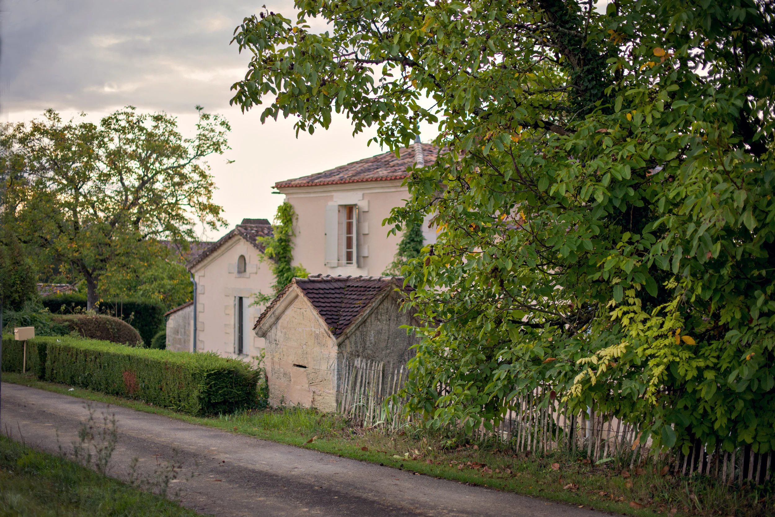 Striewski_170915_8400.jpg