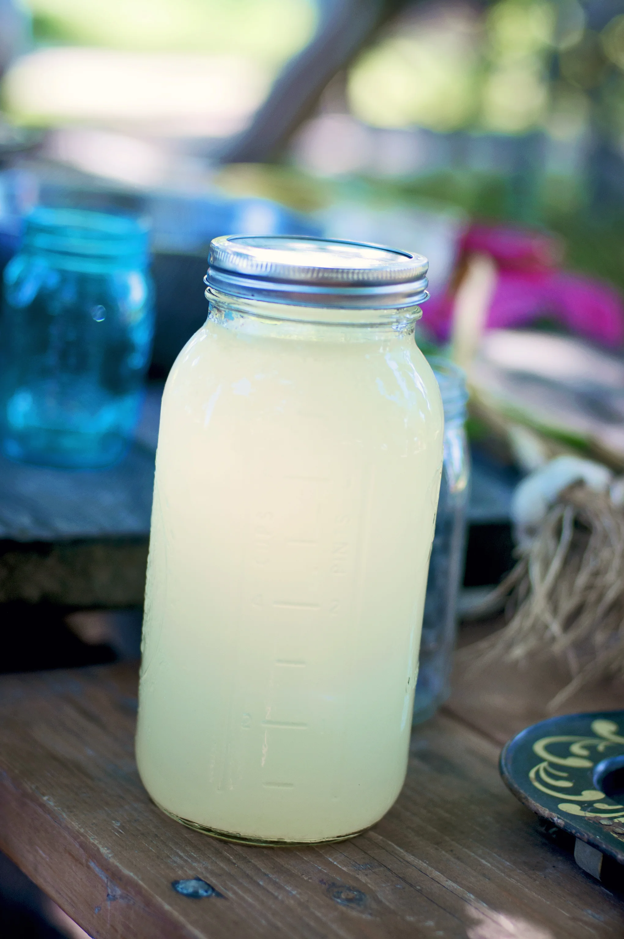 Striewski_lemonaide_3544.jpg
