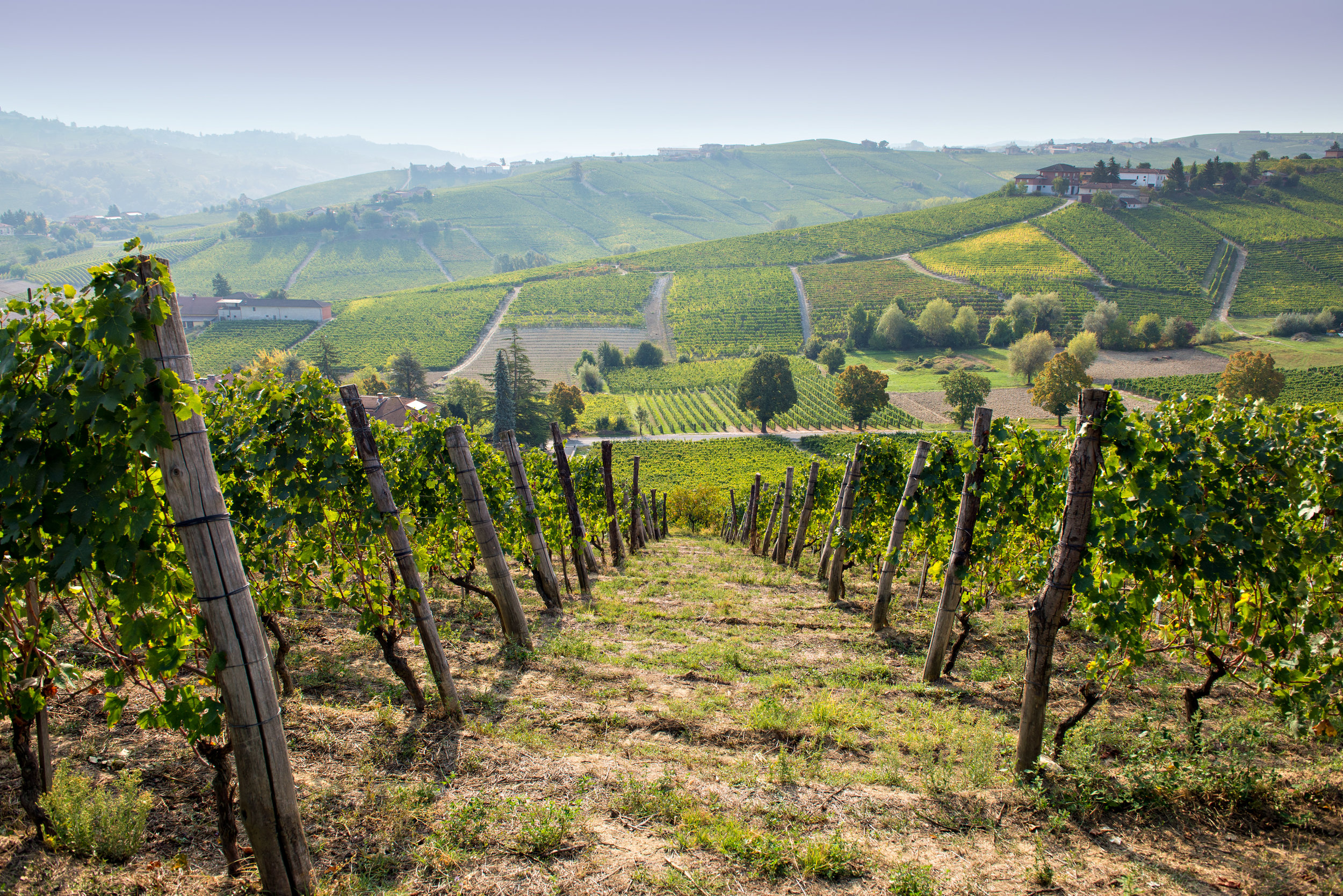 Striewski_170924_9090.jpg