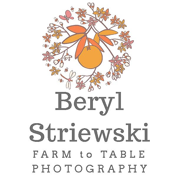 Beryl Striewski Photography
