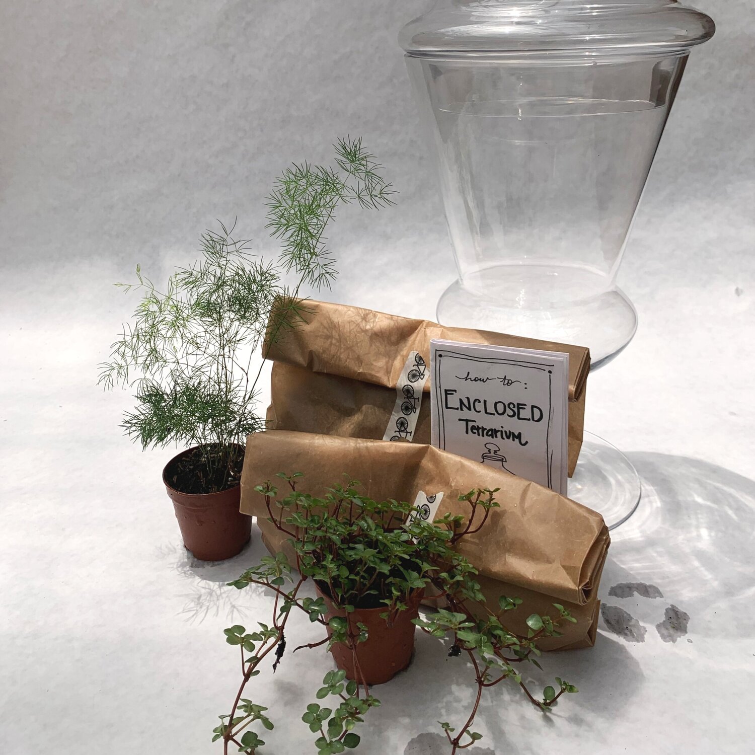 Patch Integratie Figuur Enclosed Terrarium Kit — flowers and weeds