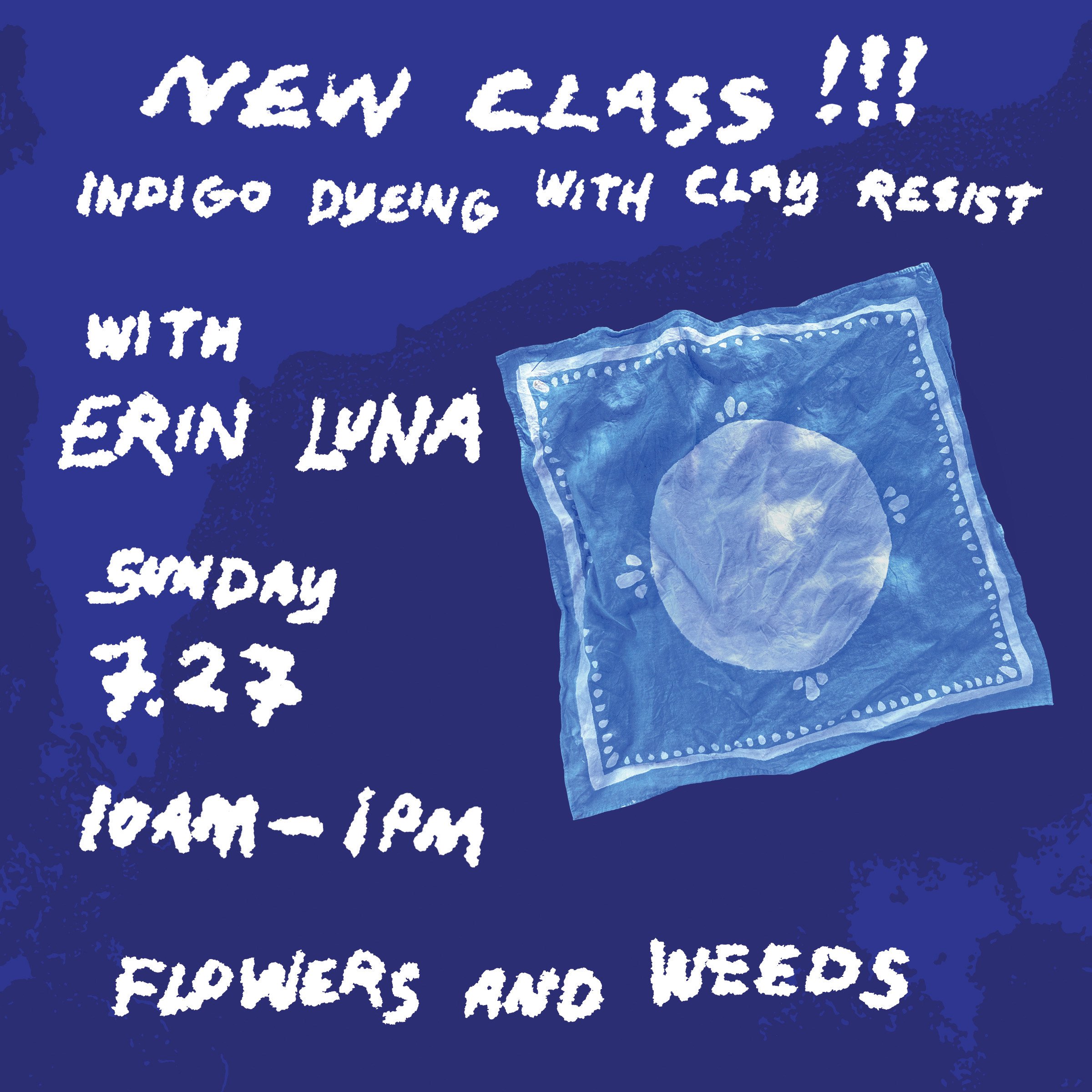 Erin Luna Class Graphic v2 (1).jpeg