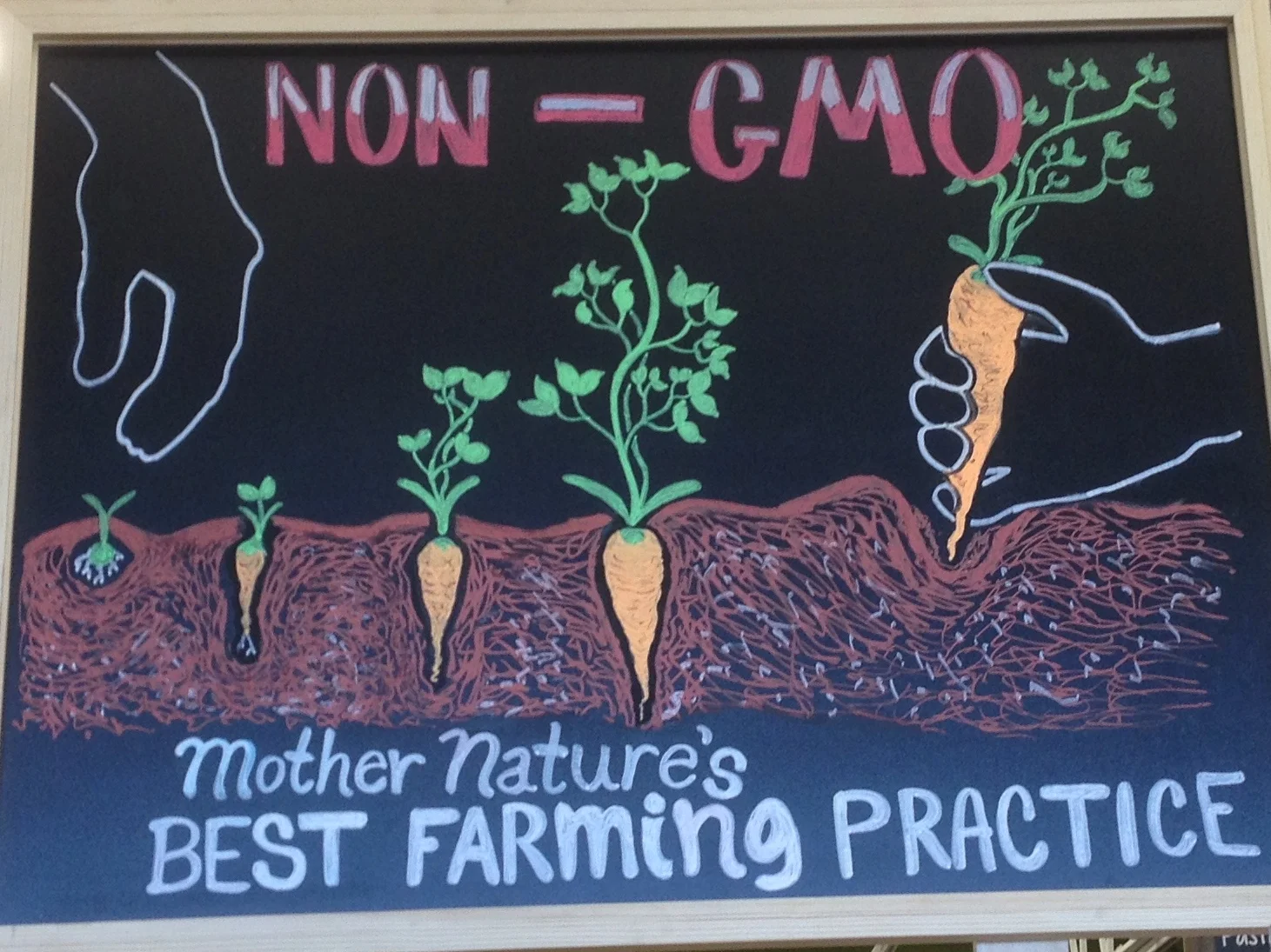 KNOW YOUR FOOD--GMO's and Their Impact