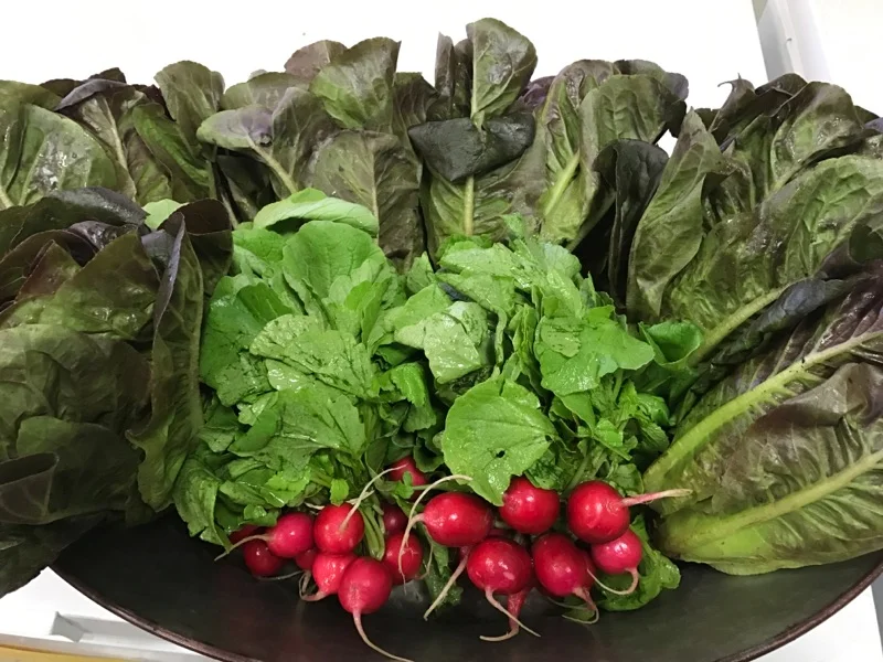 Local Produce -- For the Health of It!  4 Big Reasons You Should Have Local Produce in Your Shopping Cart