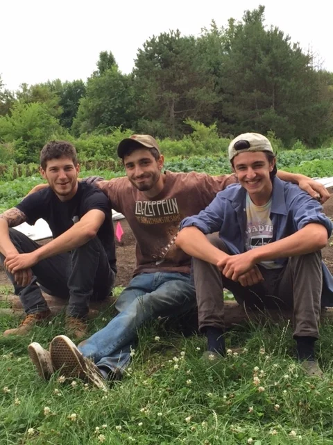 Local Food Matters--Meet Your Local Farmers:  Sugar Stone Farm