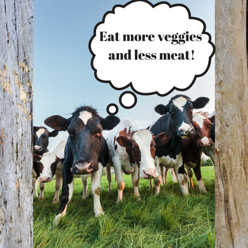 Choices Road Trip for Health Week 8:  Reduce Meat to a Supporting Role