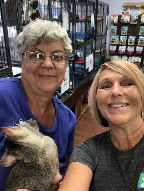 Check Delivery: Noah's Ark Animal Sanctuary