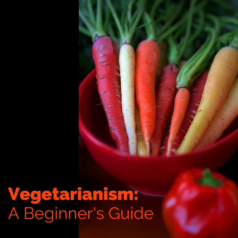 Vegetarianism:  A Beginner's Guide -- A Zoom Presentation