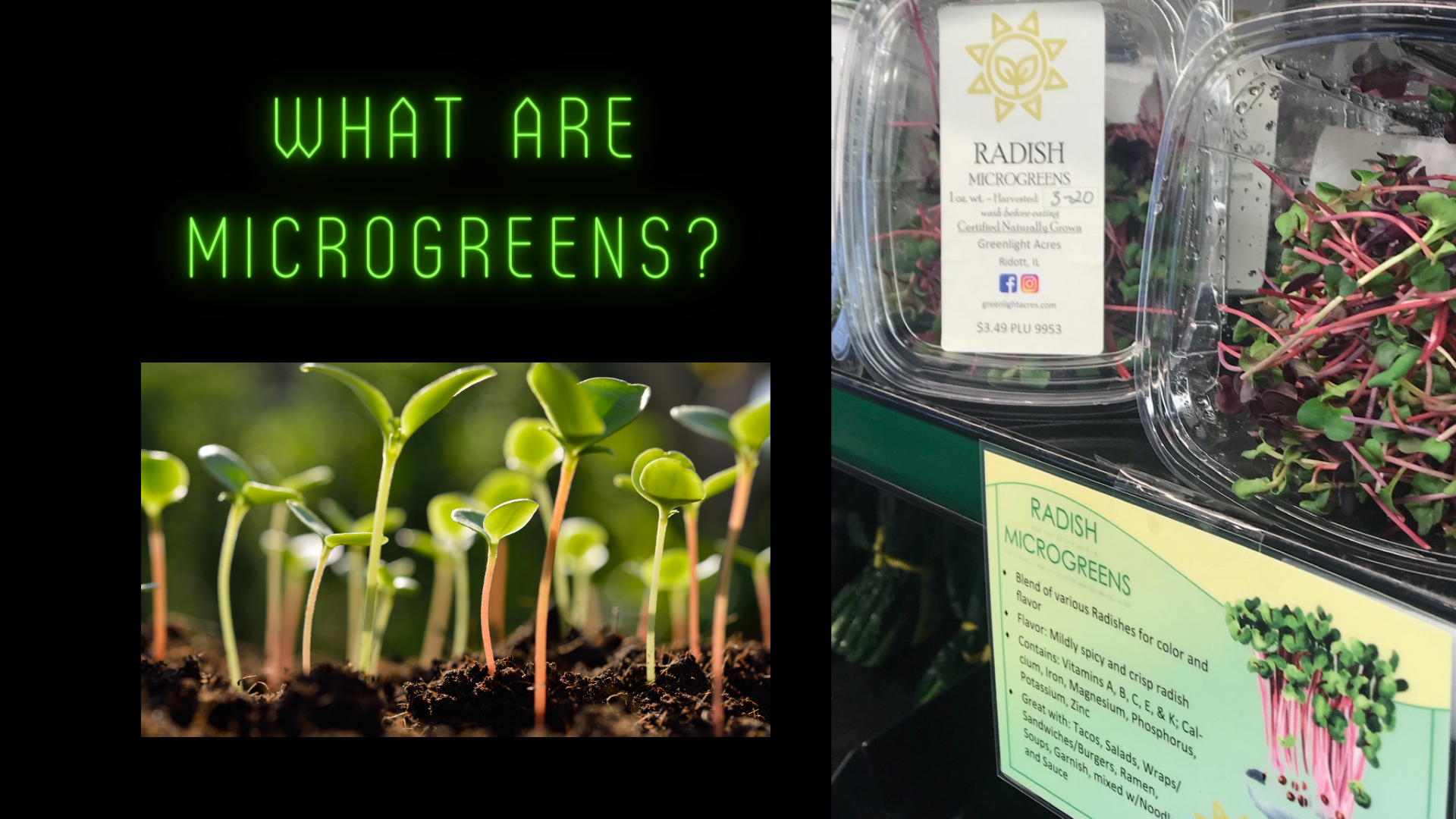 What are Microgreens?  - a local farmer presentation - Greenlight Acres farm 