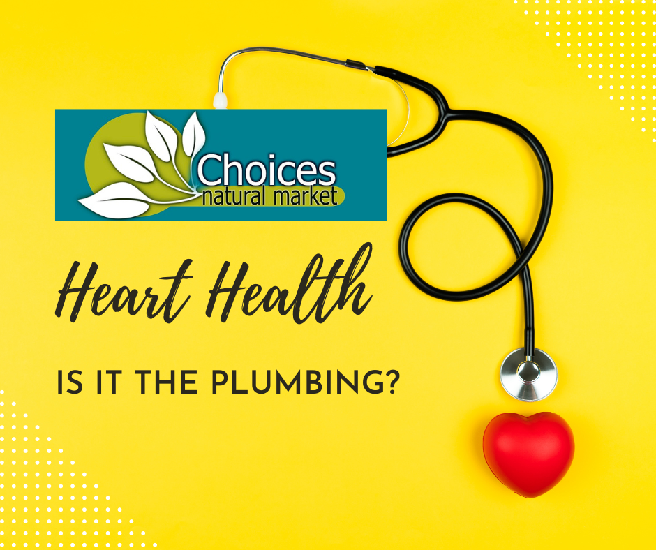 February is National Heart Month - Is it the Plumbing?