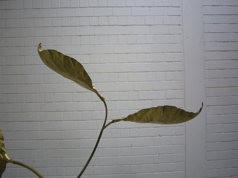 Bildschirmfoto 2016-03-04 um 12.28.36.png