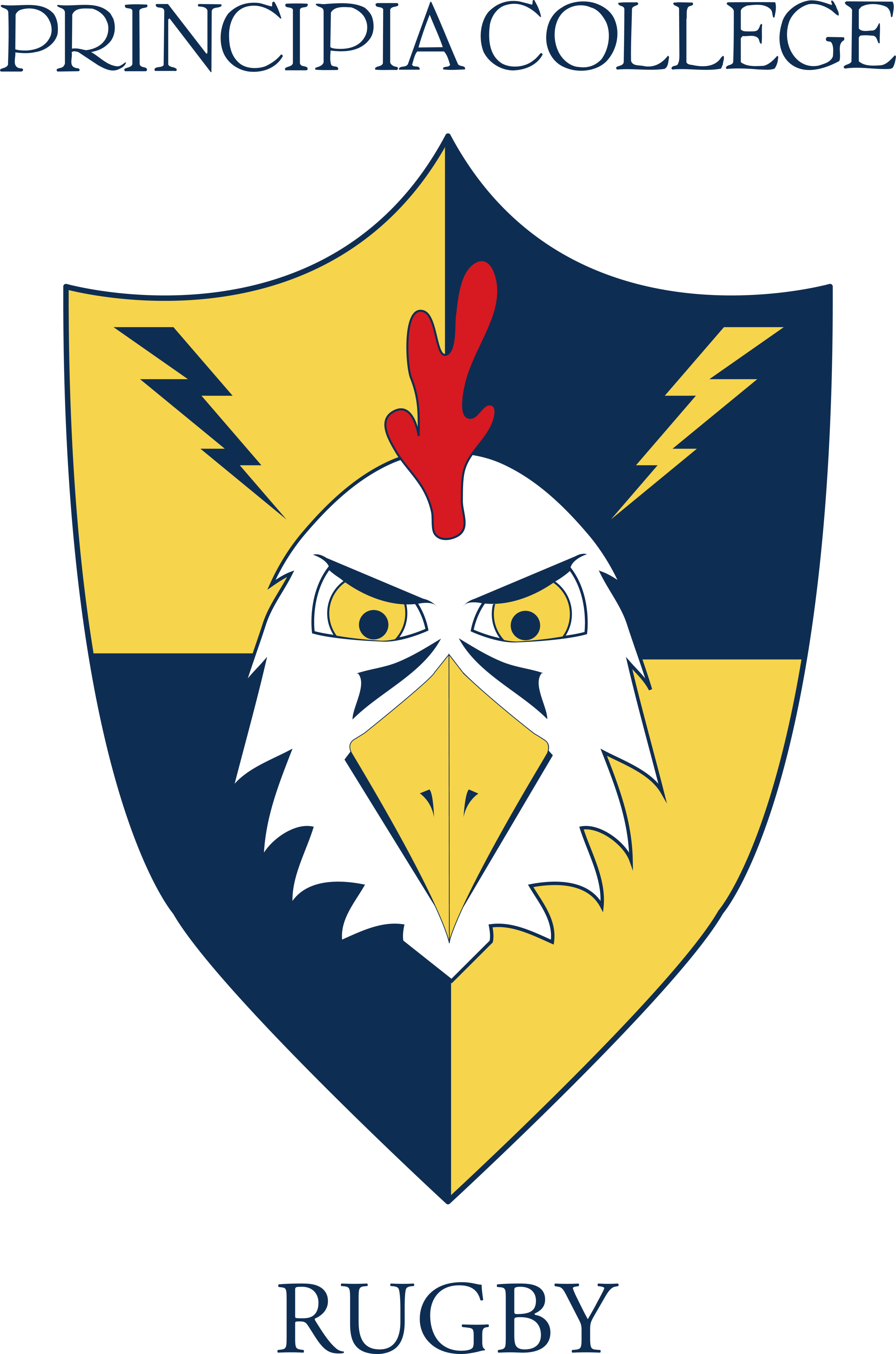 thunder chicken 2017.png