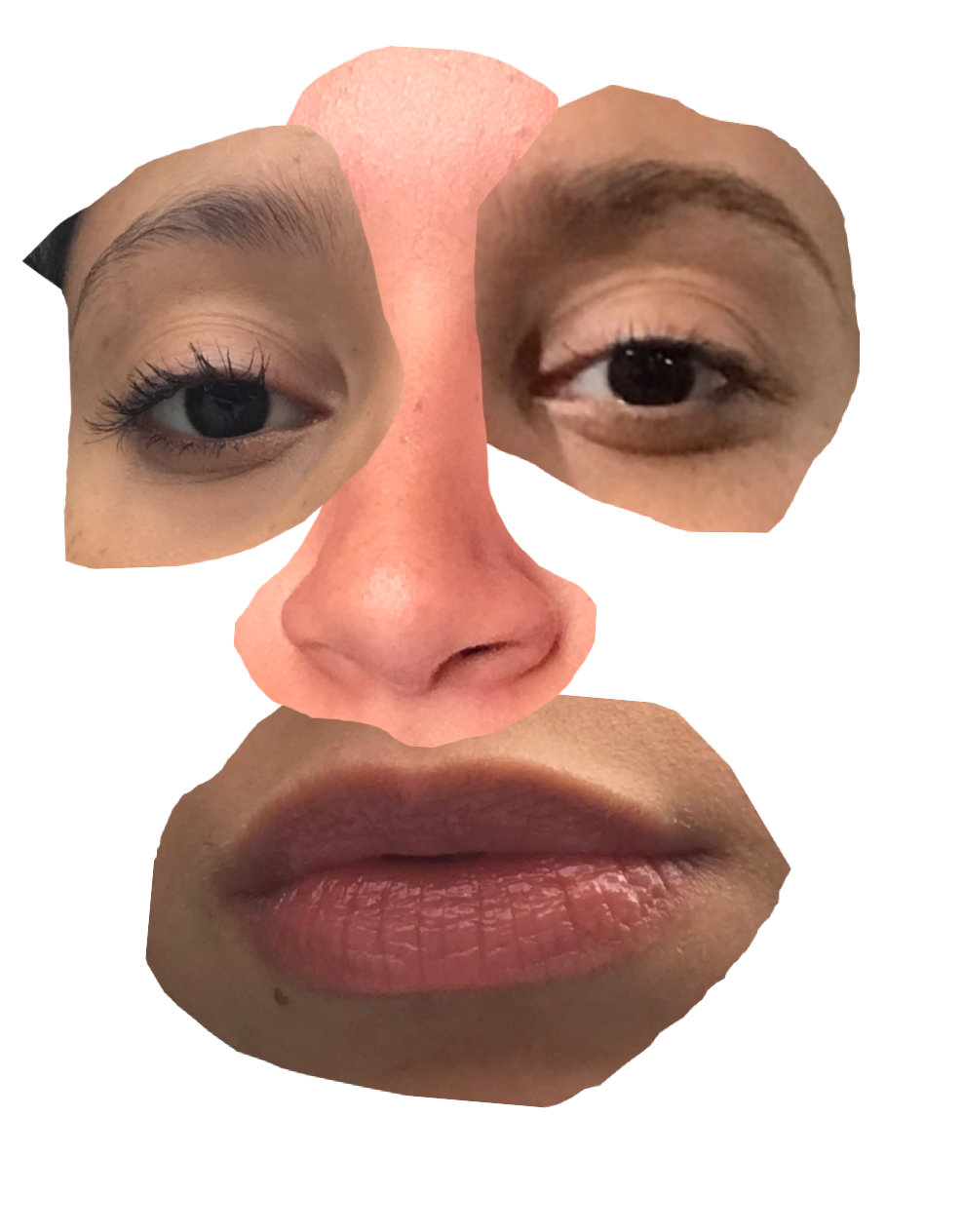 Montage (9).png