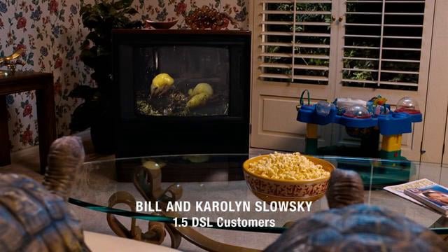 Xfinity - Slowskys - Nature Show