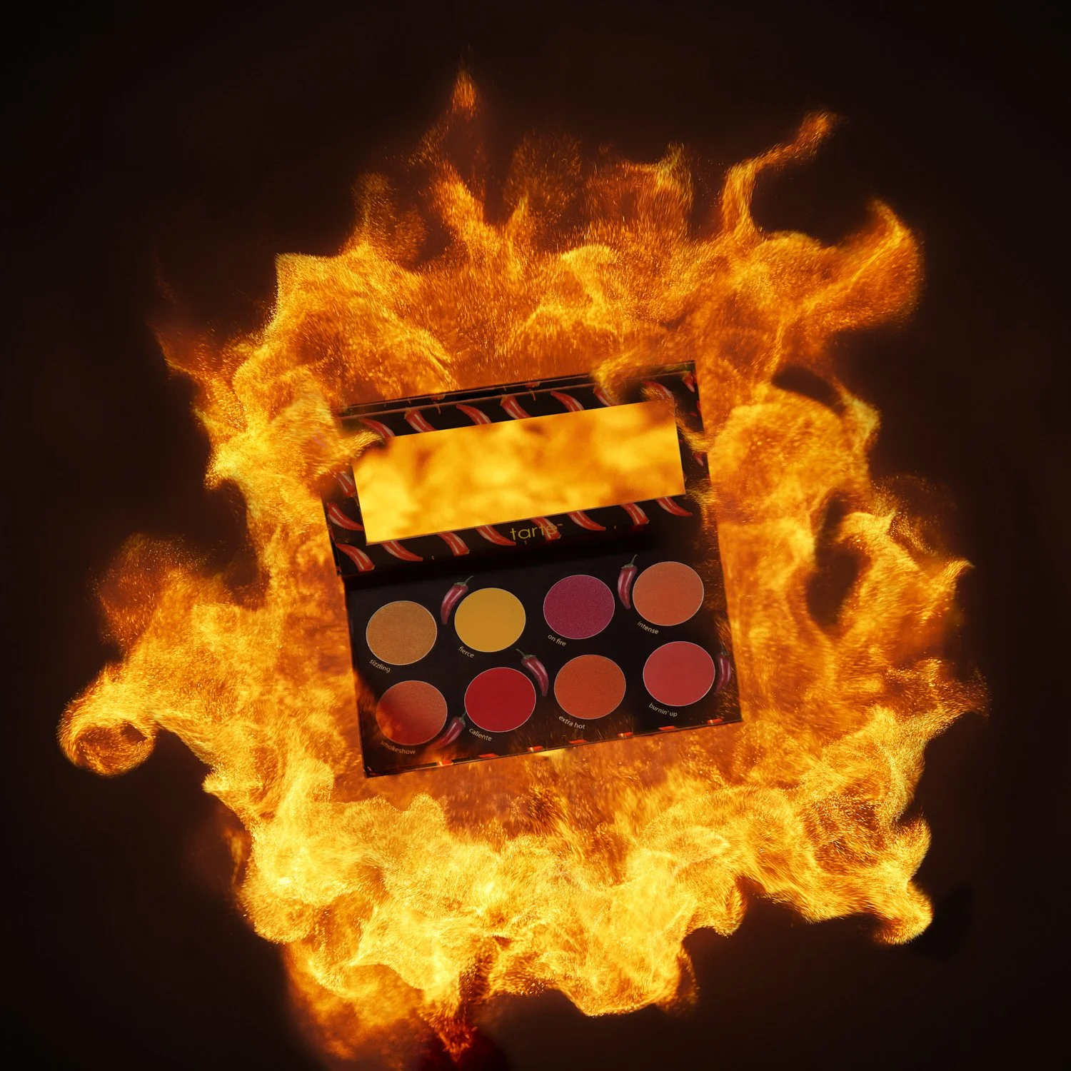 SpicyBetch_Palette_Fireball_UNCROPPED_DESIGNONLY.jpeg