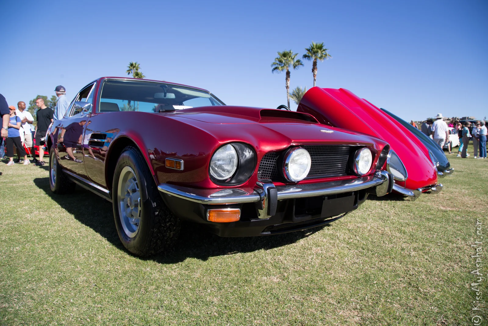 Aston Martin V8.jpg