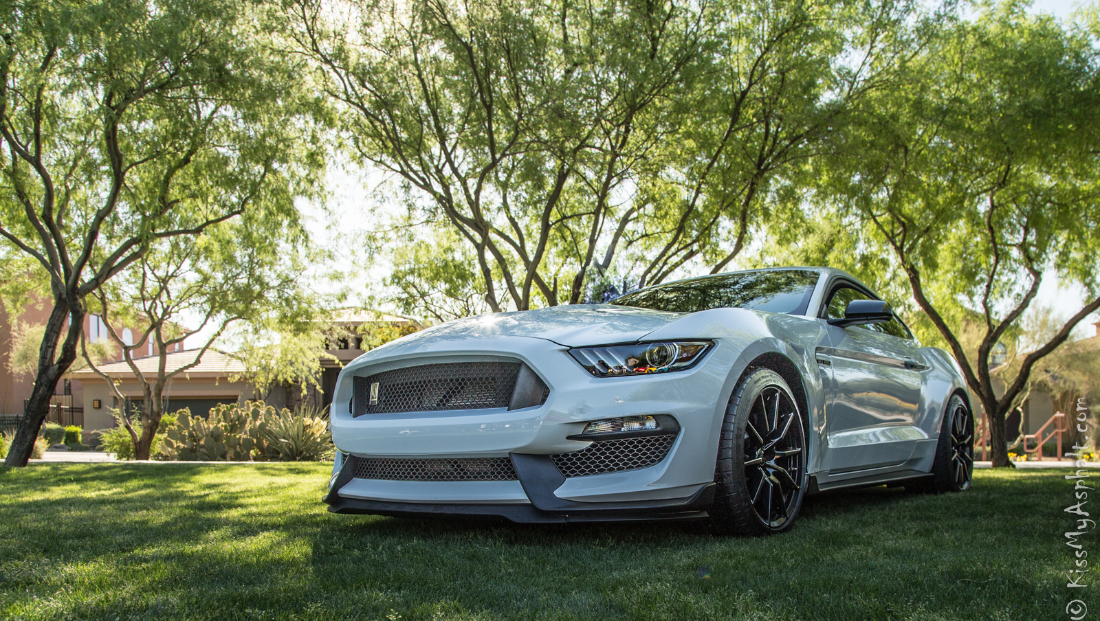 2015 Ford Mustang Shelby GT350