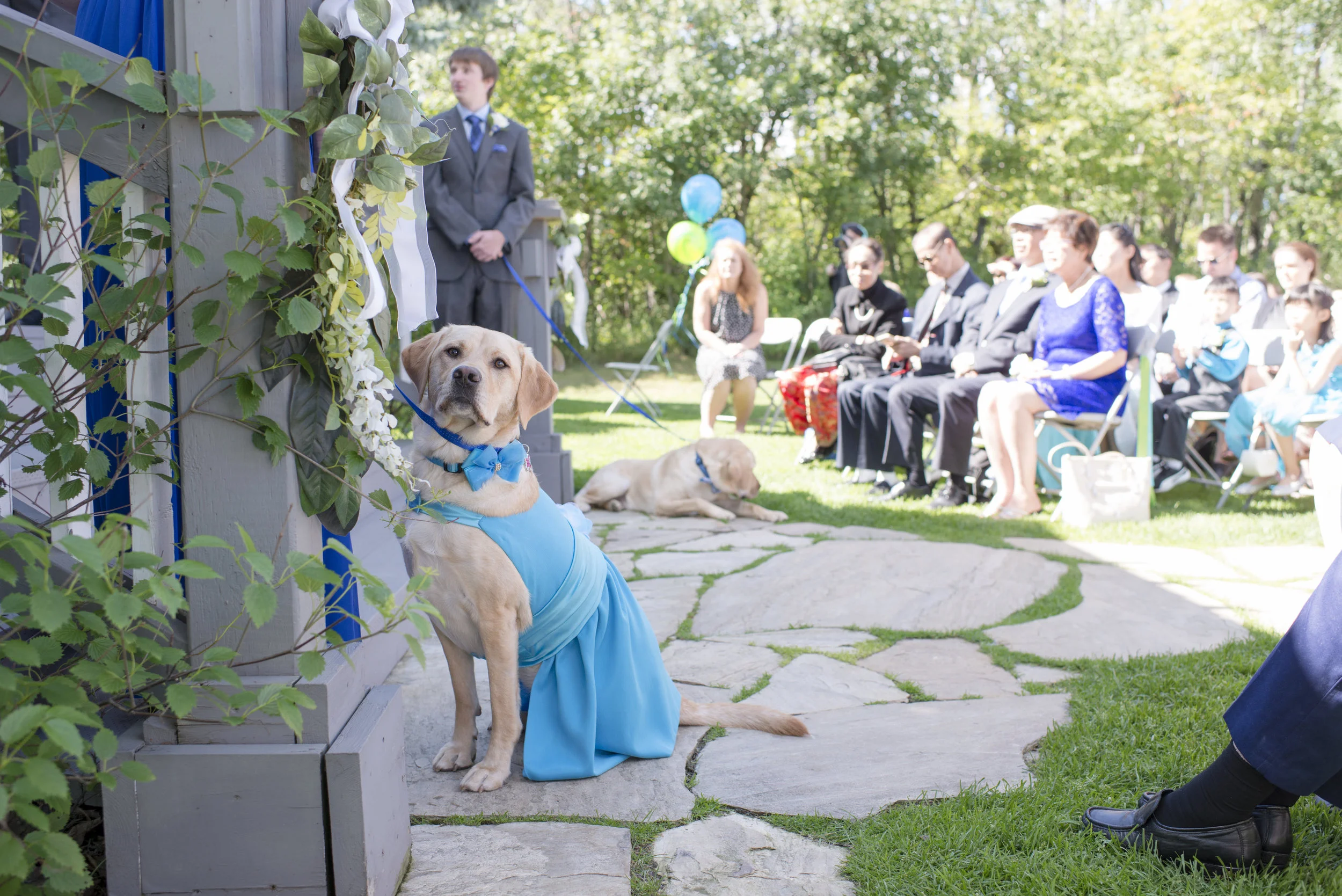 Berkley and Brian Wedding 2017-141.jpg