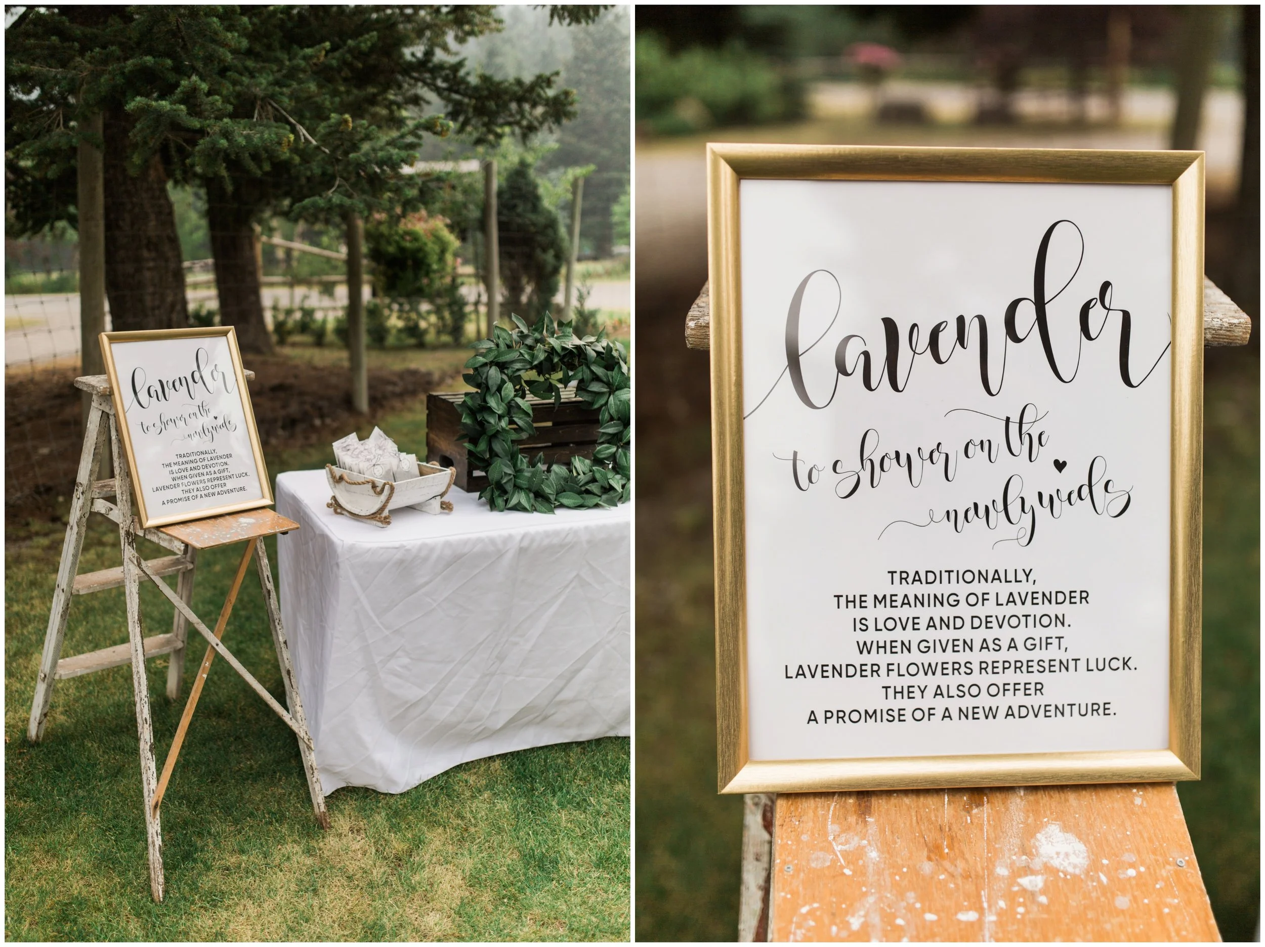 JaydenCampbellCalgaryPhotographer_2106.jpg