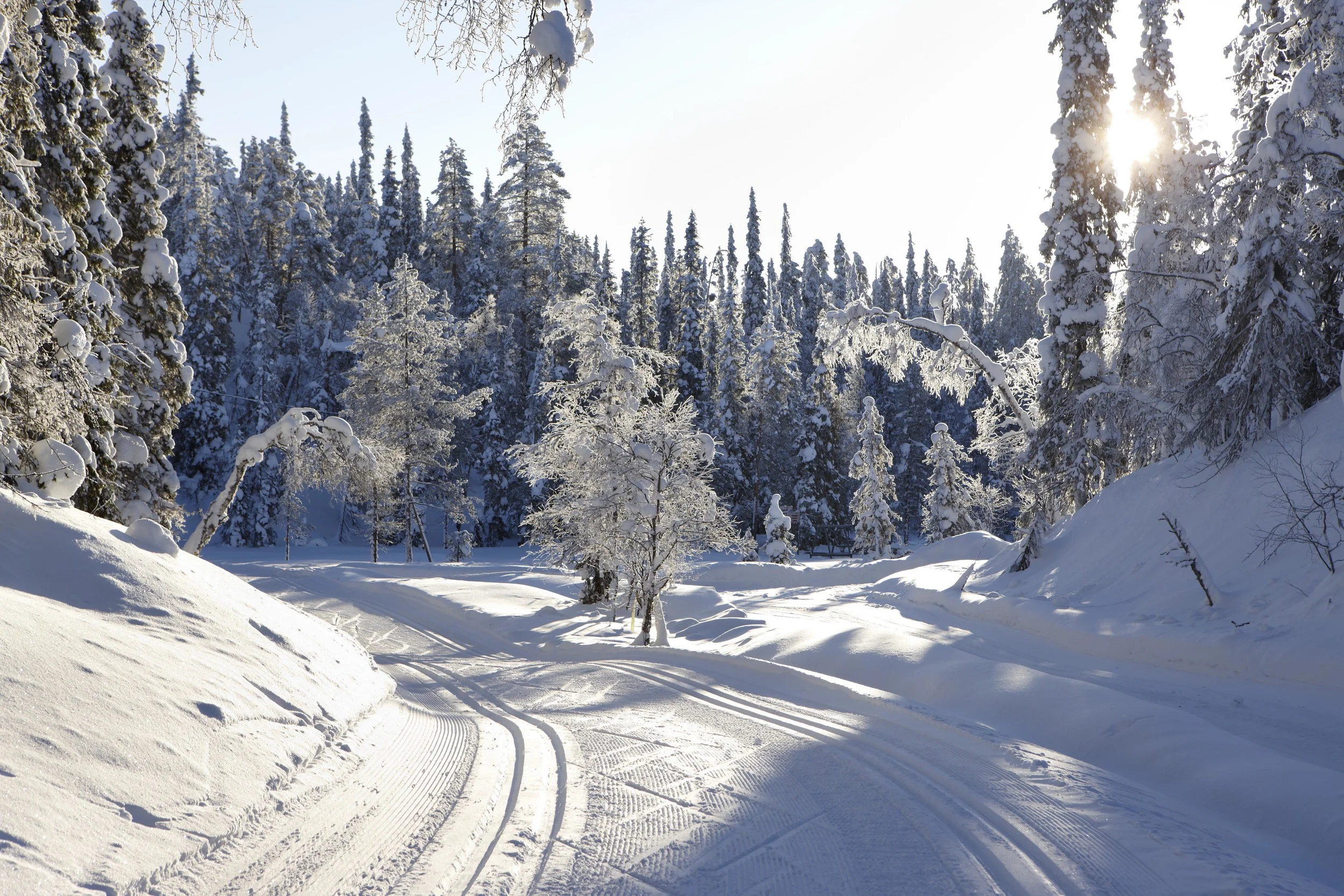 Ruka_0600.jpg