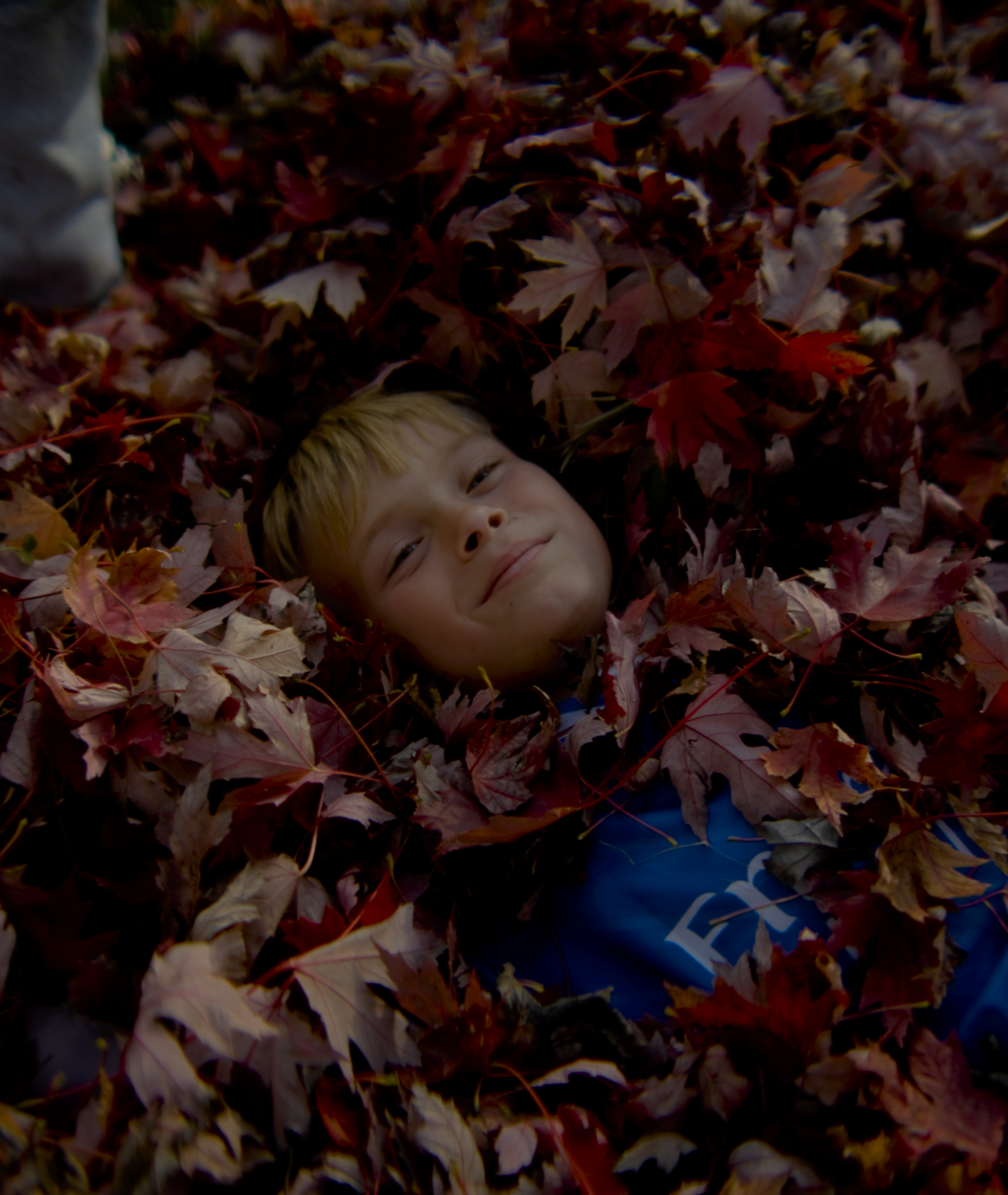 FALL.00_00_19_15.Still002.png