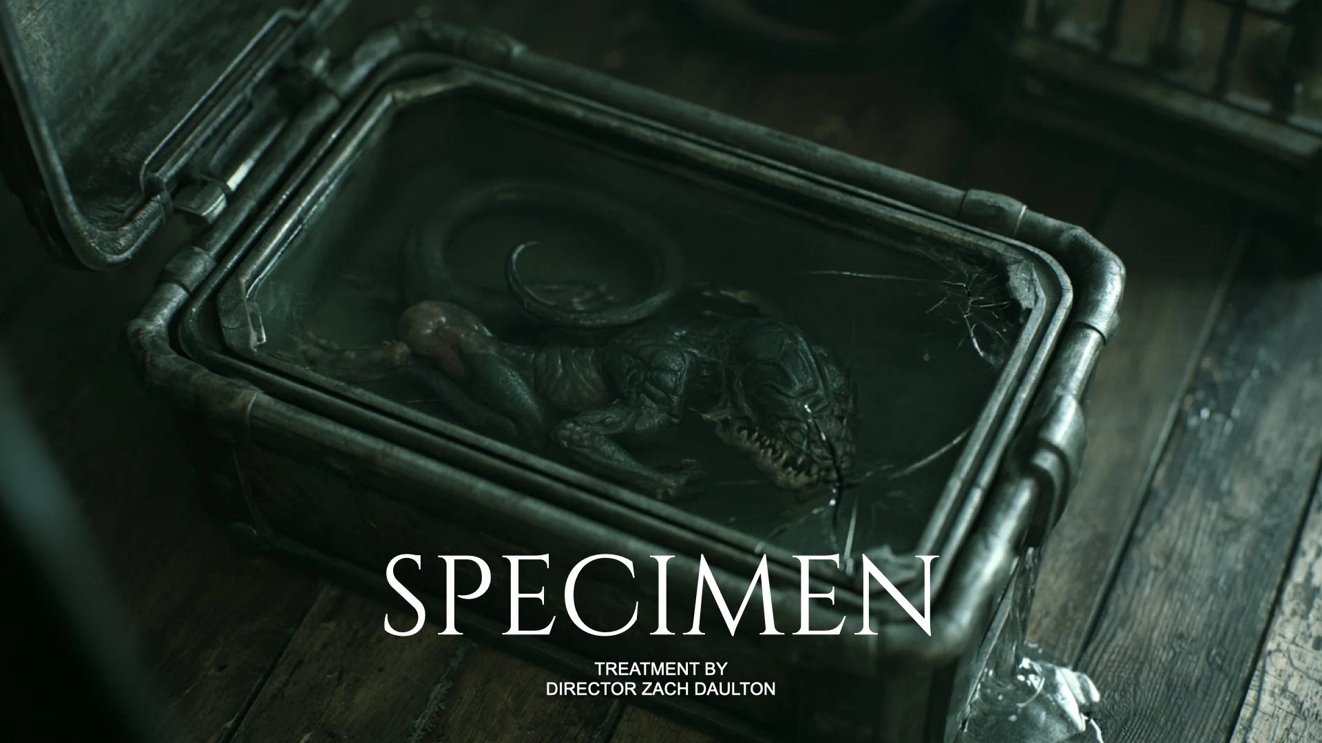 Specimen.001.jpeg