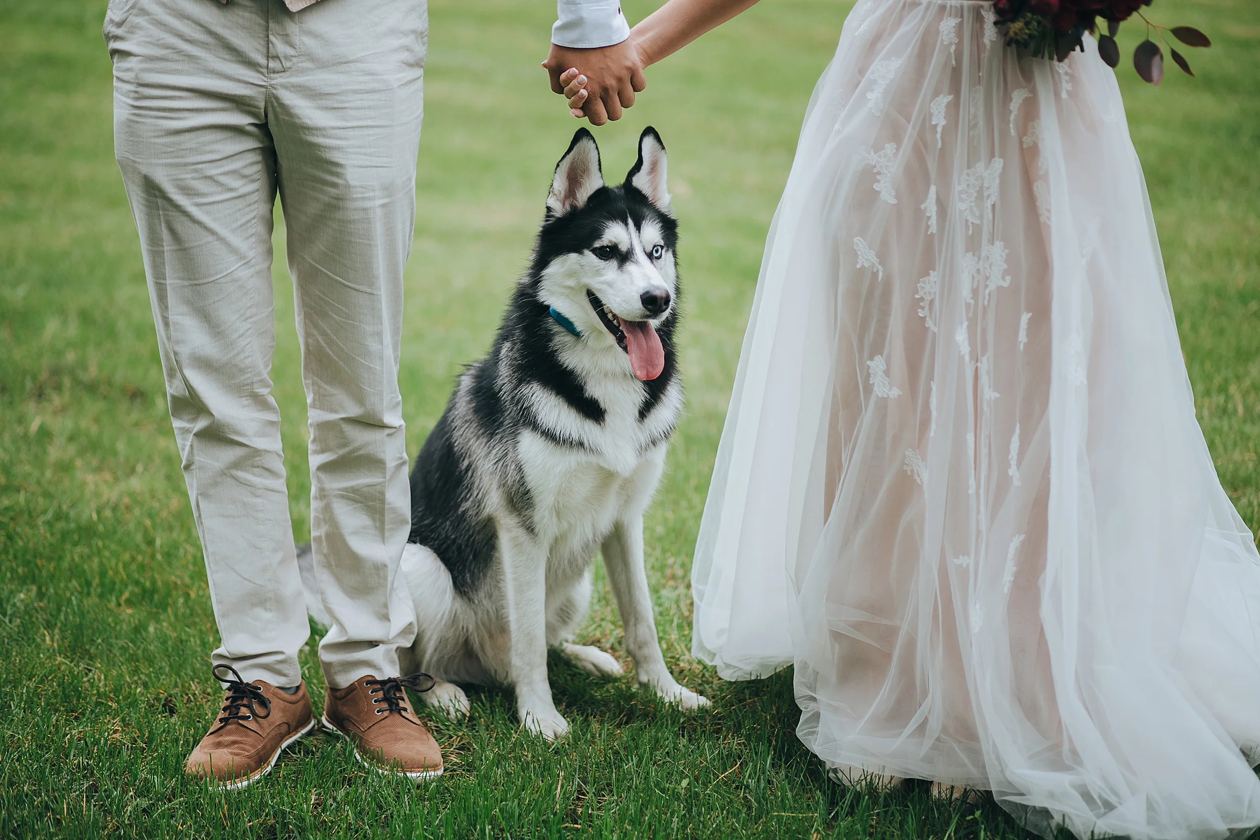 siberianhuskybride.jpg