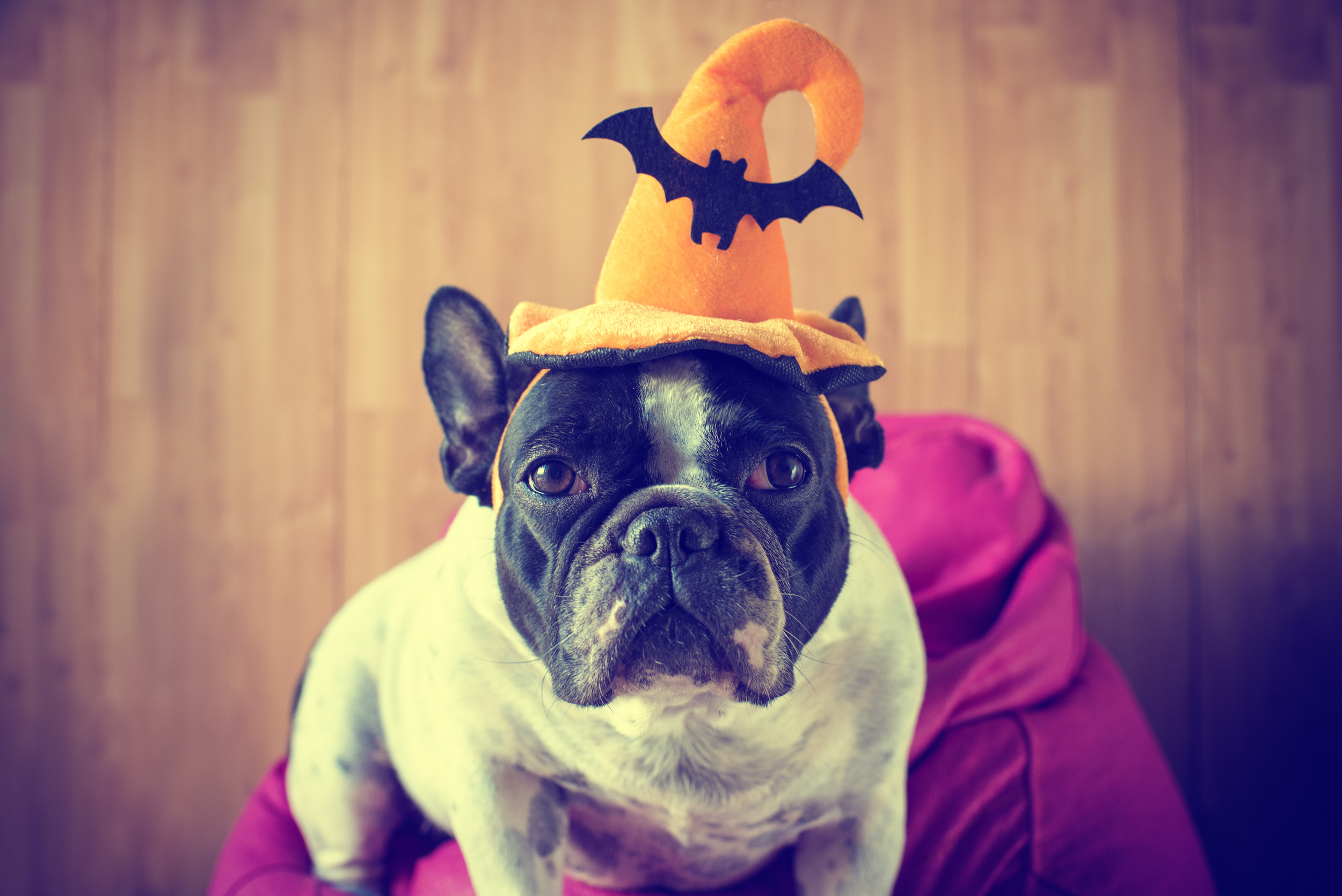 shutterstock_330102359.jpg