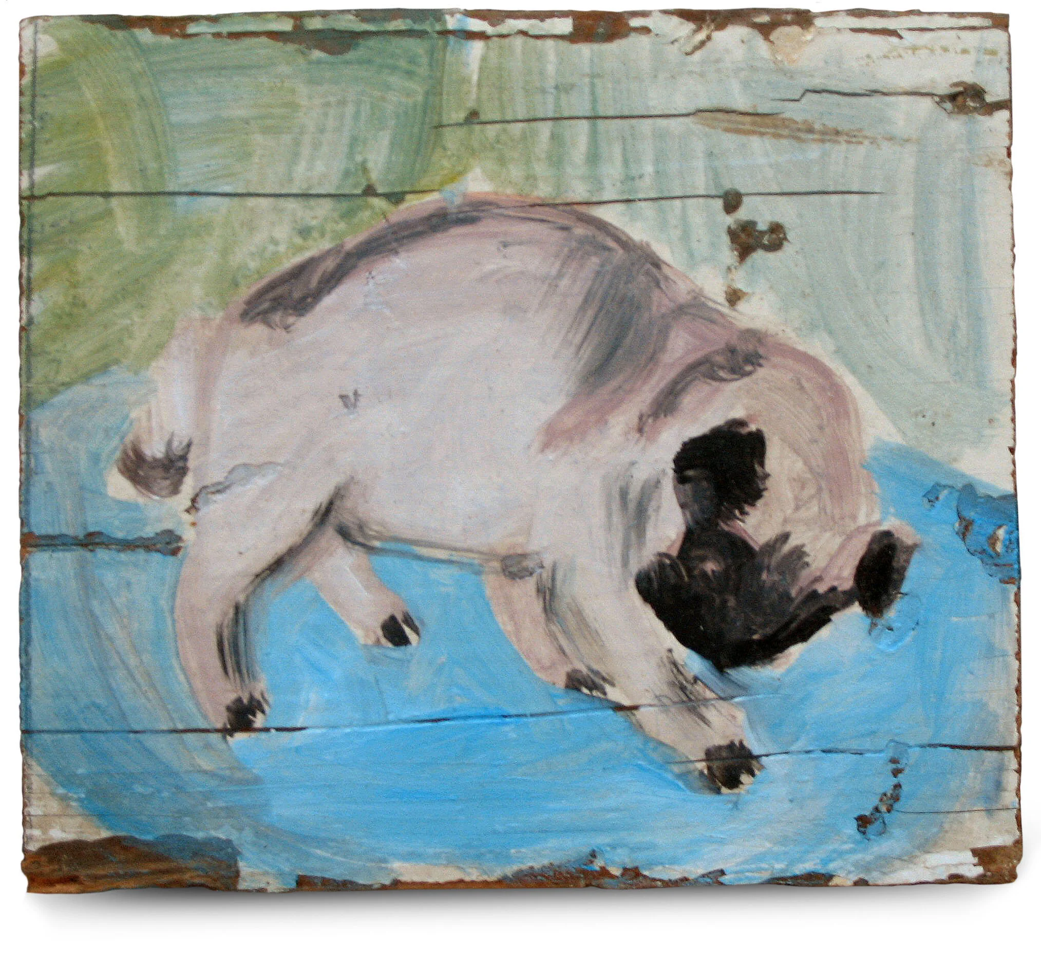 Pug