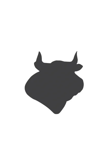 logo_toro.jpg