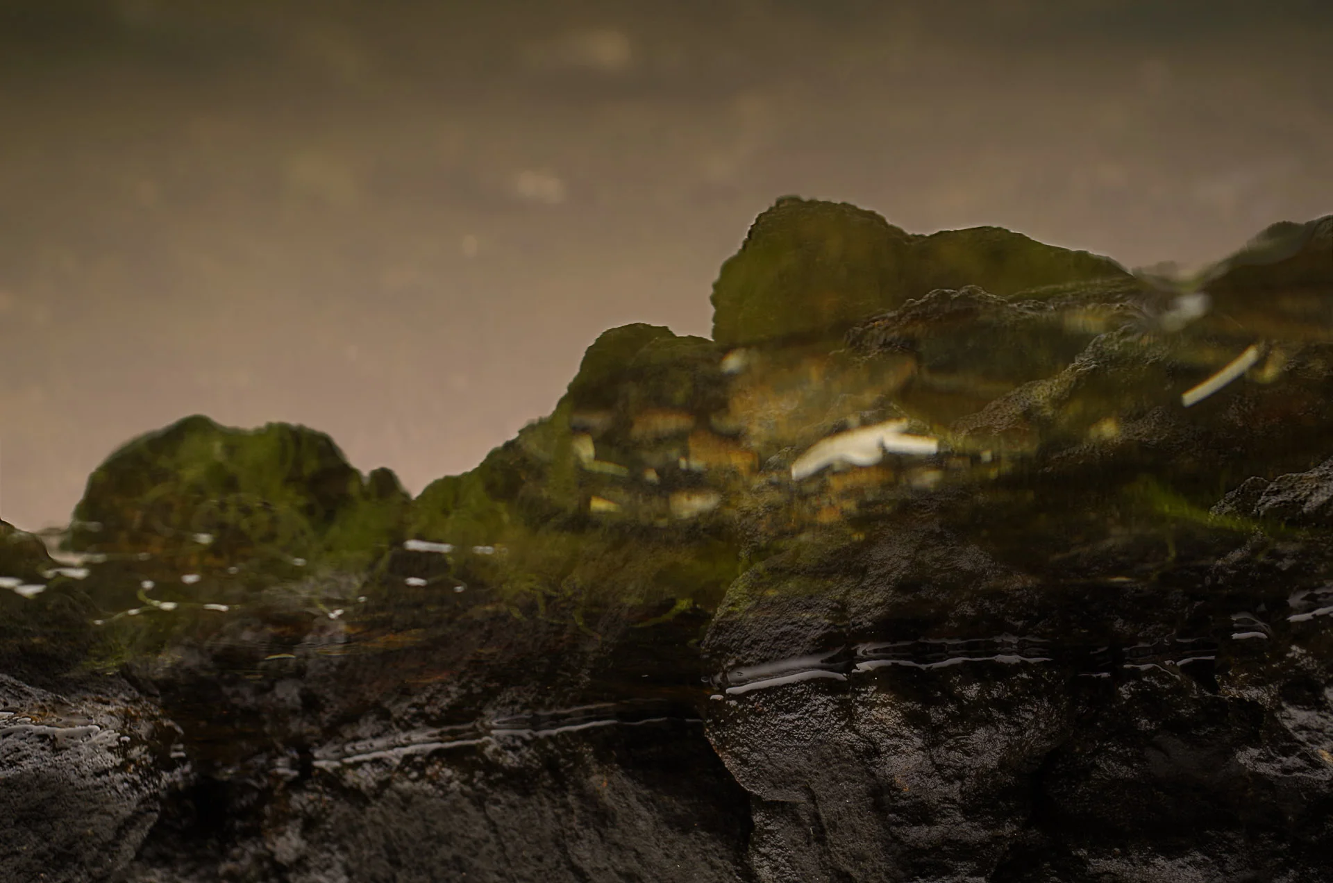 Reflect.jpg