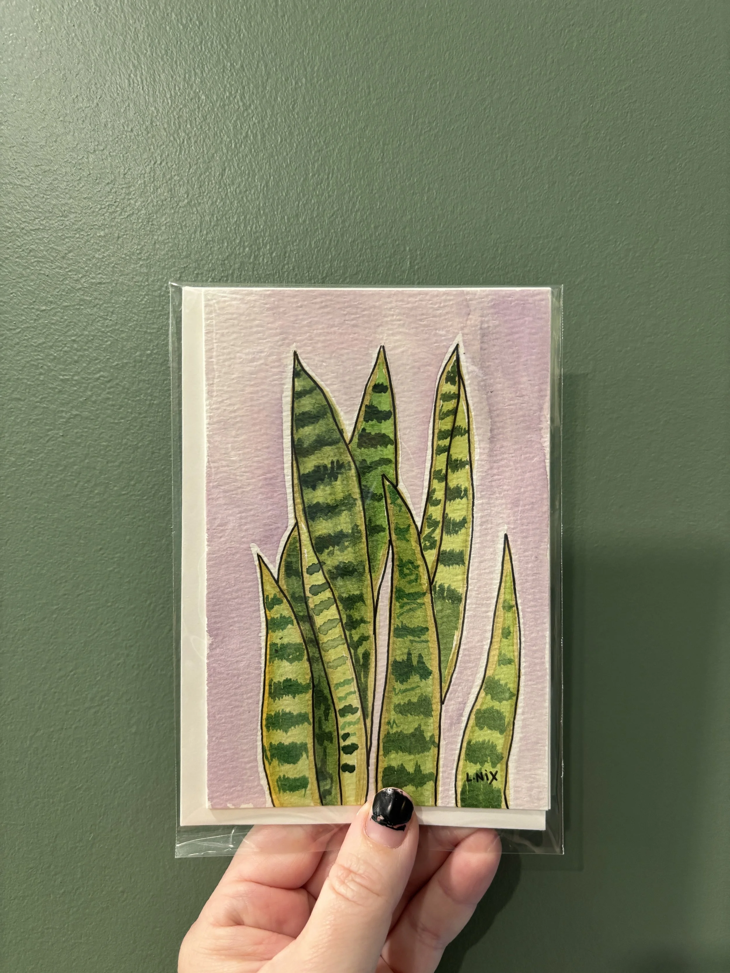 snakeplant.JPG