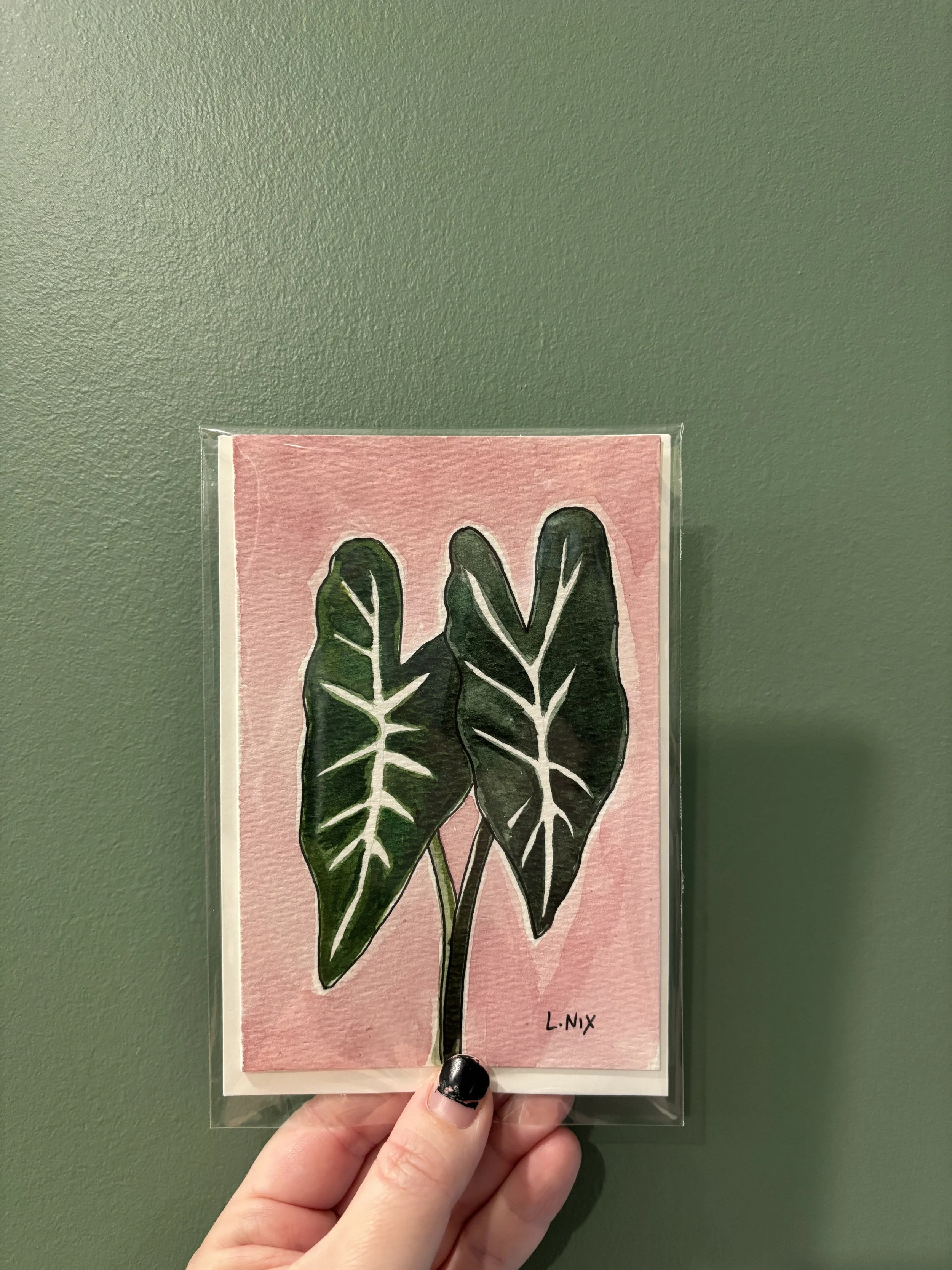 greencaladium.JPG