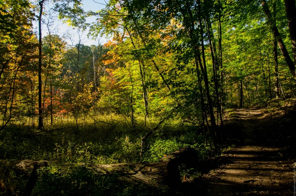 Views from the Trails of Haven Hill 092714-5090 1024x768.jpg