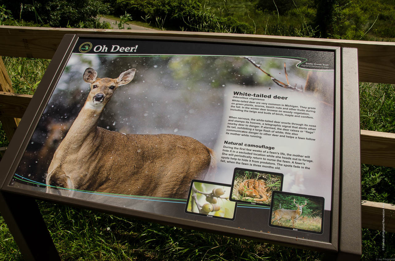 The Cedar Creek Trail features informative wildlife signs at various viewpoints through the park.