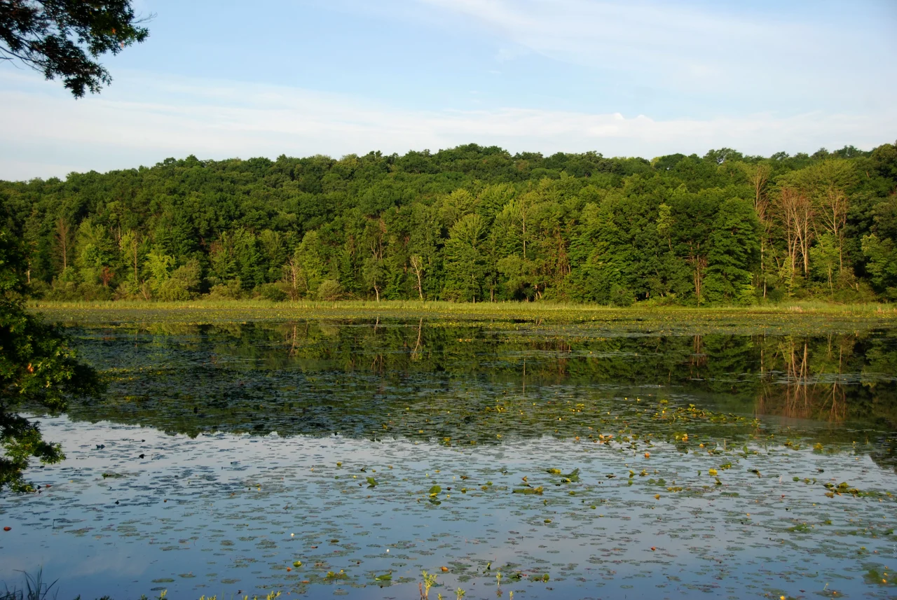 Haven Hill Lake View of West Shore 062109 DSC_8157.jpg