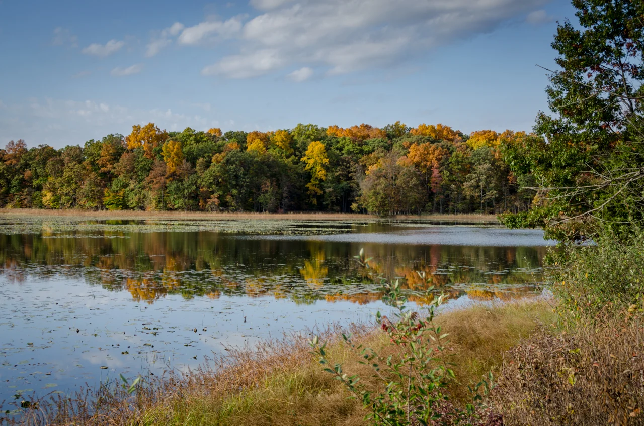 HSRA Fall Michigan Color 2016 - DSC_5907.jpg